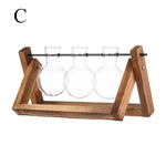 Hydroponic Plant Vases