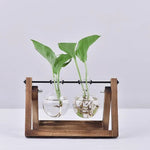 Hydroponic Plant Vases