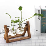 Hydroponic Plant Vases