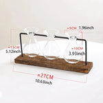 Glass vases for dining tables and interior decoration