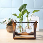 Hydroponic Plant Vases