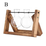 Hydroponic Plant Vases