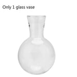 Hydroponic Plant Vases