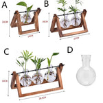 Hydroponic Plant Vases