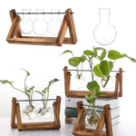 Hydroponic Plant Vases