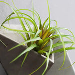Wall Art Vases Aesthetic Decoration